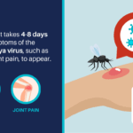 chikungunya virusul periculos care ridica nivelul de alerta in europa primul caz cu transmitere locala tantarul principalul vector 686ce574caadf