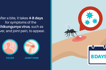 chikungunya virusul periculos care ridica nivelul de alerta in europa primul caz cu transmitere locala tantarul principalul vector 686ce574caadf