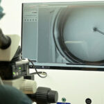 clinicile de fertilitate sunt tot mai solicitate in tara cu cea mai scazuta natalitate cu rezervare am asteptat peste 3 ore 687487ee78cc9