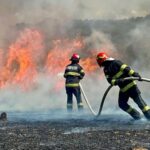 cod rosu de canicula cetatenii sunt sfatuiti sa nu aprinda focul in zone cu vegetatie uscata 686b821bb6a67