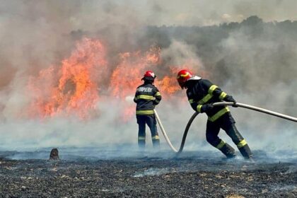cod rosu de canicula cetatenii sunt sfatuiti sa nu aprinda focul in zone cu vegetatie uscata 686b821bb6a67