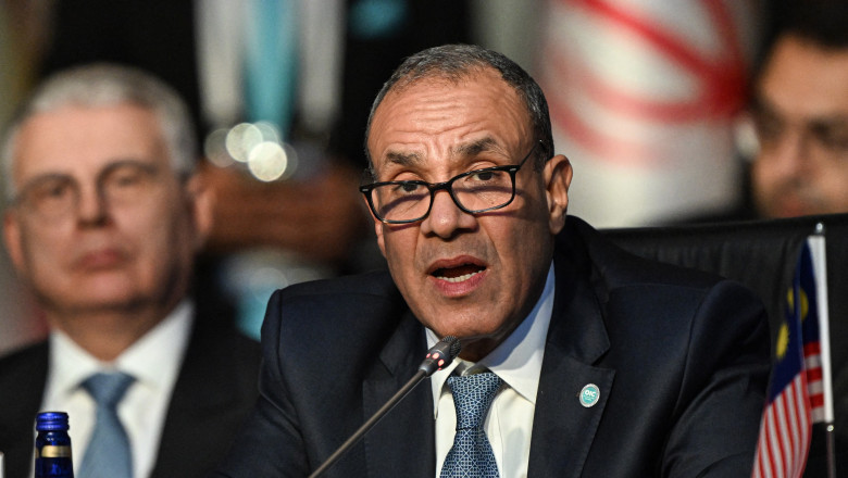 complot terorist pentru atacarea instalatiilor de securitate si economice ale egiptului ce a descoperit executivul de la cairo 687cdd33265e8