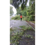 copac prabusit peste o casa stalpi rupti si drumuri blocate la pascani 6877ef2ca3afb