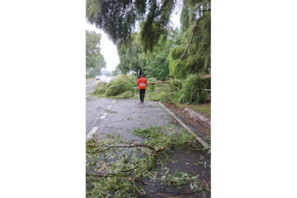 copac prabusit peste o casa stalpi rupti si drumuri blocate la pascani 6877ef2ca3afb