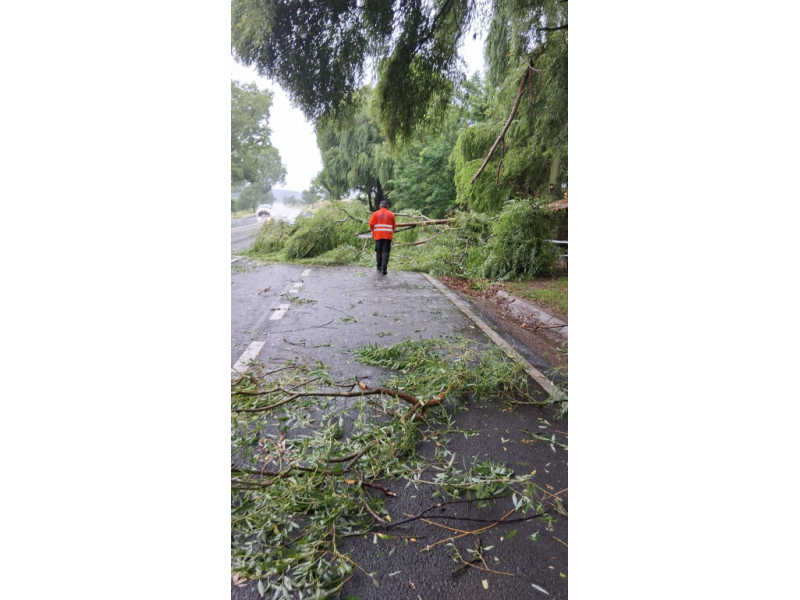 copac prabusit peste o casa stalpi rupti si drumuri blocate la pascani 6877ef2ca3afb