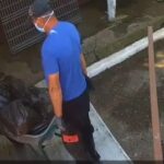 cruzime nemarginita la vaslui o suta de caini dintr un padoc au fost eutanasiati ilegal se incarcau saci cu cadavre video 686778ee0c9b7