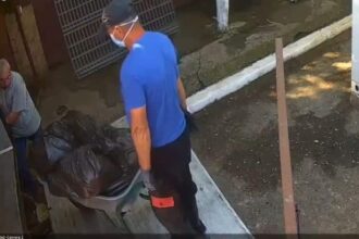 cruzime nemarginita la vaslui o suta de caini dintr un padoc au fost eutanasiati ilegal se incarcau saci cu cadavre video 686778ee0c9b7