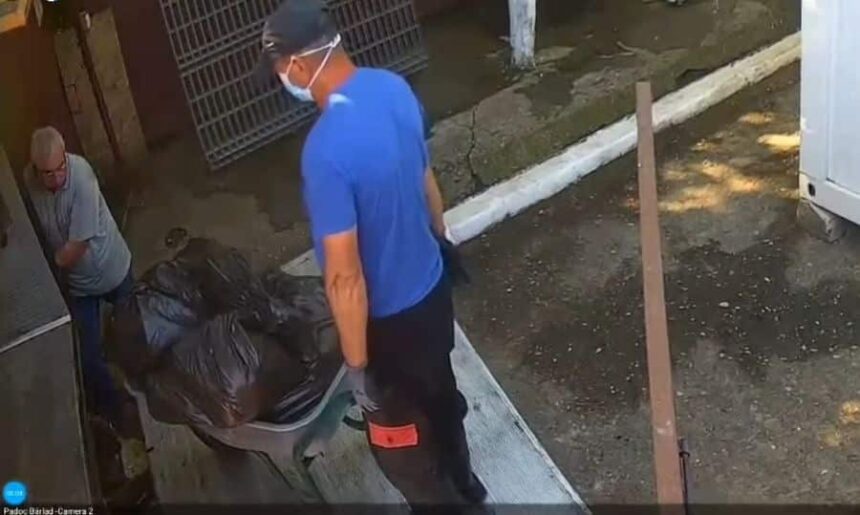 cruzime nemarginita la vaslui o suta de caini dintr un padoc au fost eutanasiati ilegal se incarcau saci cu cadavre video 686778ee0c9b7