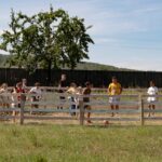 da spatiu copilariei arhiepiscopia iasilor si un preot paroh vor construi primul loc de joaca din satul budesti 6874ef1186acf