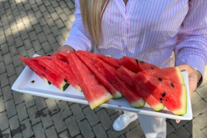 degustare inedita de pepeni la usv iasi zeci de ieseni descopera arome locale si soiuri inovatoare foto video 6880980cae699