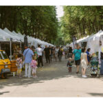 degustari de branzeturi afumaturi dulceturi si vinuri in copou 68788ee833936