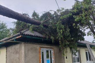 desfasurare de forte ca urmare a furtunilor copac cazut peste o casa locuinte si strazi inundate 68779349a179b