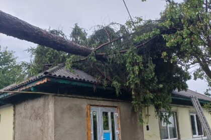 desfasurare de forte ca urmare a furtunilor copac cazut peste o casa locuinte si strazi inundate 68779349a179b