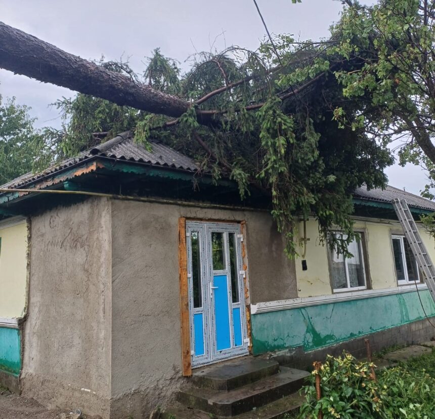 desfasurare de forte ca urmare a furtunilor copac cazut peste o casa locuinte si strazi inundate 68779349a179b