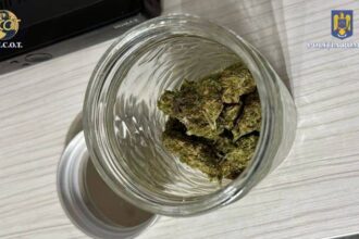 doi barbati si o femeie din bucuresti retinuti de diicot bacau pentru trafic de droguri de mare risc video 68669569bc774