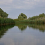 doi copii loviti de un ski jet in apele dunarii barbatul care il conducea consumase alcool iar politia a dechis o ancheta 687bcd00f2b36 1