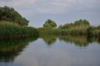 doi copii loviti de un ski jet in apele dunarii barbatul care il conducea consumase alcool iar politia a dechis o ancheta 687bcd00f2b36 1