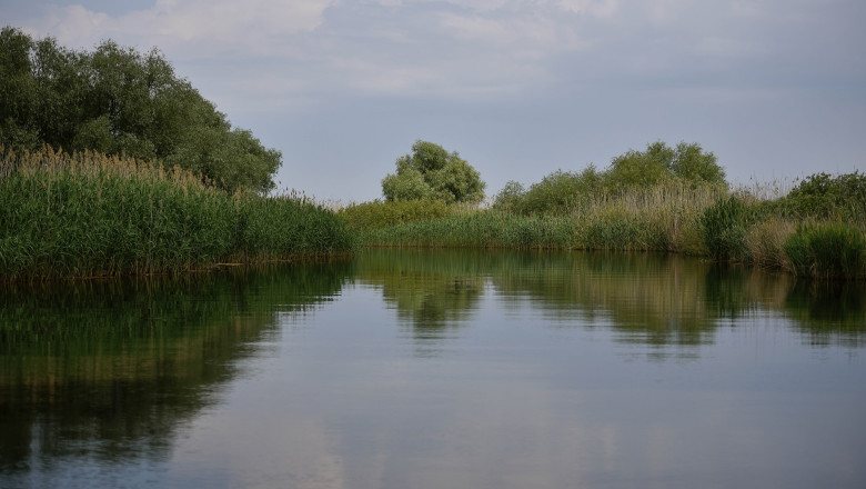 doi copii loviti de un ski jet in apele dunarii barbatul care il conducea consumase alcool iar politia a dechis o ancheta 687bcd00f2b36 1