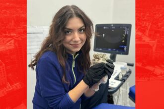 durere fara margini dupa decesul doctorandei de la iasi pe soseaua mortii zeci de mesaje profesia noastra a pierdut un om extraordinar 68881467b6003