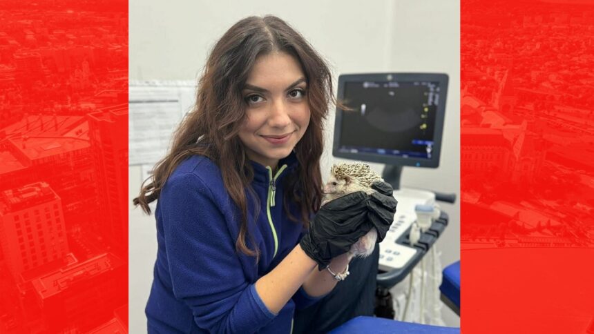 durere fara margini dupa decesul doctorandei de la iasi pe soseaua mortii zeci de mesaje profesia noastra a pierdut un om extraordinar 68881467b6003