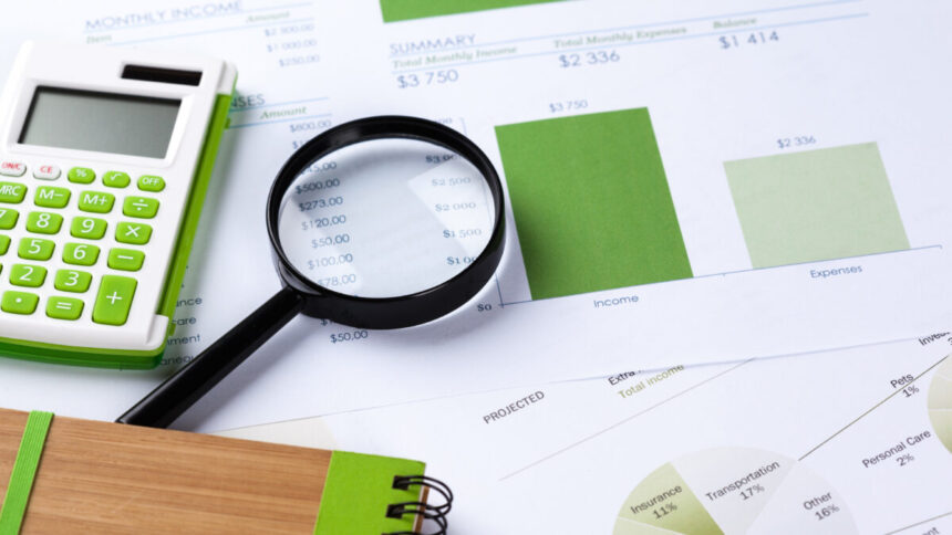 executia bugetara 2024 ultima dare de seama 687a2dee94a87