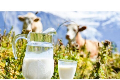 fermierii din iasi primesc cel mai mic pret pentru lapte din europa 6873848b2e5cf