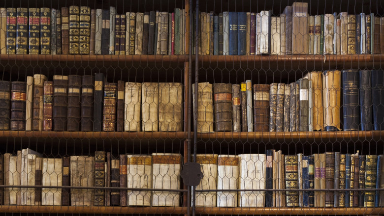 foto cea mai veche biblioteca din ungaria invadata de gandaci 100 000 de carti rare ar putea fi distruse masuri urgente de dezinsectie 6874f582cd4f4