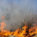 foto incendii la marginea ploiestiului doua cladiri distruse de flacari circulatie restrictionata pe dn1b spre buzau 68865fb076e77