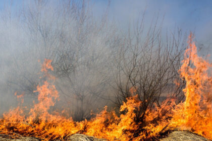 foto incendii la marginea ploiestiului doua cladiri distruse de flacari circulatie restrictionata pe dn1b spre buzau 68865fb076e77