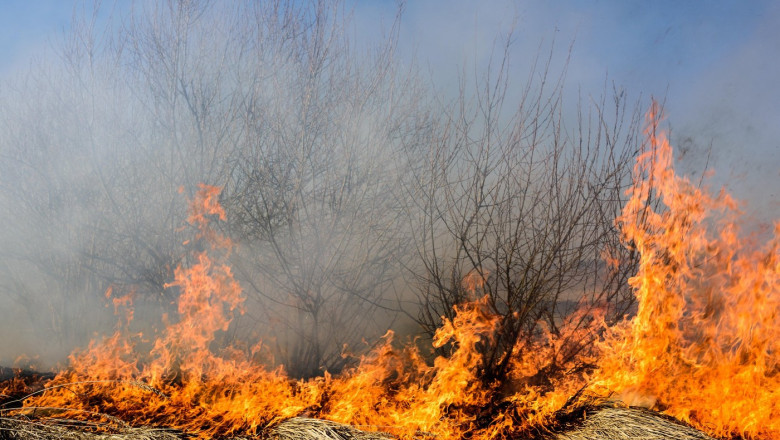 foto incendii la marginea ploiestiului doua cladiri distruse de flacari circulatie restrictionata pe dn1b spre buzau 68865fb076e77