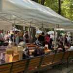 foto video turcii si iesenii si au dat intalnire in copou ultima zi de anatolian fest aduce arome orientale muzica si dans in parcul expozitiei 68863102846e4