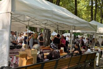 foto video turcii si iesenii si au dat intalnire in copou ultima zi de anatolian fest aduce arome orientale muzica si dans in parcul expozitiei 68863102846e4