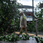 galerie foto taifunul wipha a lovit sudul chinei ploi torentiale peste 400 de copaci doborati si zeci de persoane ajunse la spital in hong kong 687d32dc0d974