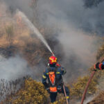 grecia cere ajutor tarilor europene pentru stingerea incediilor de vegetatie 6885f317d61b0