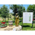 iasul nevazut turism cultural alternativ in muzeele satesti aproape uitate 68848e14cf1a3