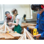 iasul ofera o lectie de realism si eficienta in educatie 68816556eedea