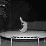 in cautarea distractiei o vulpe isi mentine silueta sarind in trambulina 6888ba159ad5e