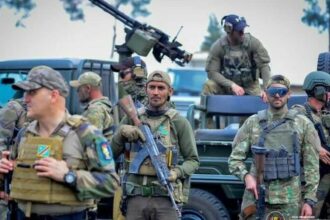 inca o luna de arest pentru mercenarii lui potra liderul gruparii este de negasit 6877ed684f3e8