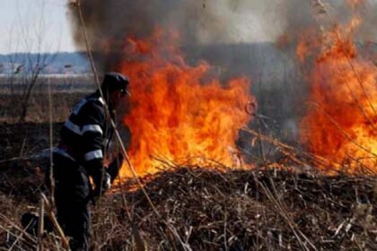 incendiu de vegetatie uscata in localitatea sipote 68691140ae146