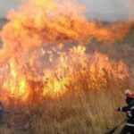 incendiu de vegetatie uscata in satul carjoaia comuna cotnari risc major de propagare si sanctiuni severe pentru nerespectarea legislatiei 686663c799f17 1