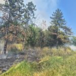 incendiu in gradina botanica din iasi 686bb518c3b72 1