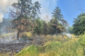 incendiu in gradina botanica din iasi 686bb518c3b72 1