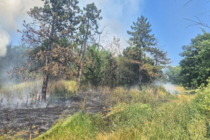 incendiu in gradina botanica din iasi 686bb518c3b72 1