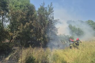 incendiu in gradina botanica iasi zece pompieri se lupta cu flacarile ca sa opreasca extinderea 686bbe4cac5af 1