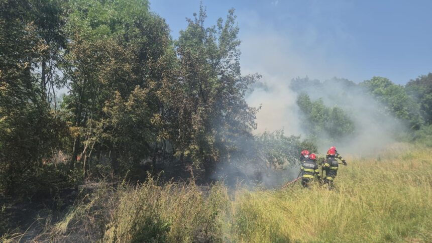 incendiu in gradina botanica iasi zece pompieri se lupta cu flacarile ca sa opreasca extinderea 686bbe4cac5af 1