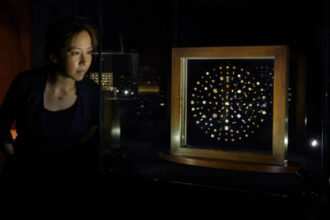 india recupereaza una dintre cele mai importante descoperiri arheologice din istoria sa comoara fusese scoasa la licitatie 688af4f749a4b