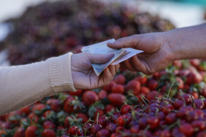 inflatia a crescut la 57 fructele s au scumpit cu peste 33 in ultimul an 6870d4b530991