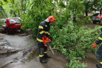 interventie pentru degajarea unui copac in pericol de prabusire municipiul iasi strada ciurchi 68715c1711233
