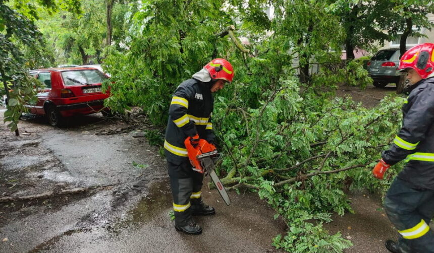 interventie pentru degajarea unui copac in pericol de prabusire municipiul iasi strada ciurchi 68715c1711233