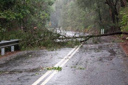interventii in dinamica pentru degajarea drumului european in urma codului rosu de vreme severa 687786c7376b8